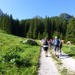 Cima Bocche